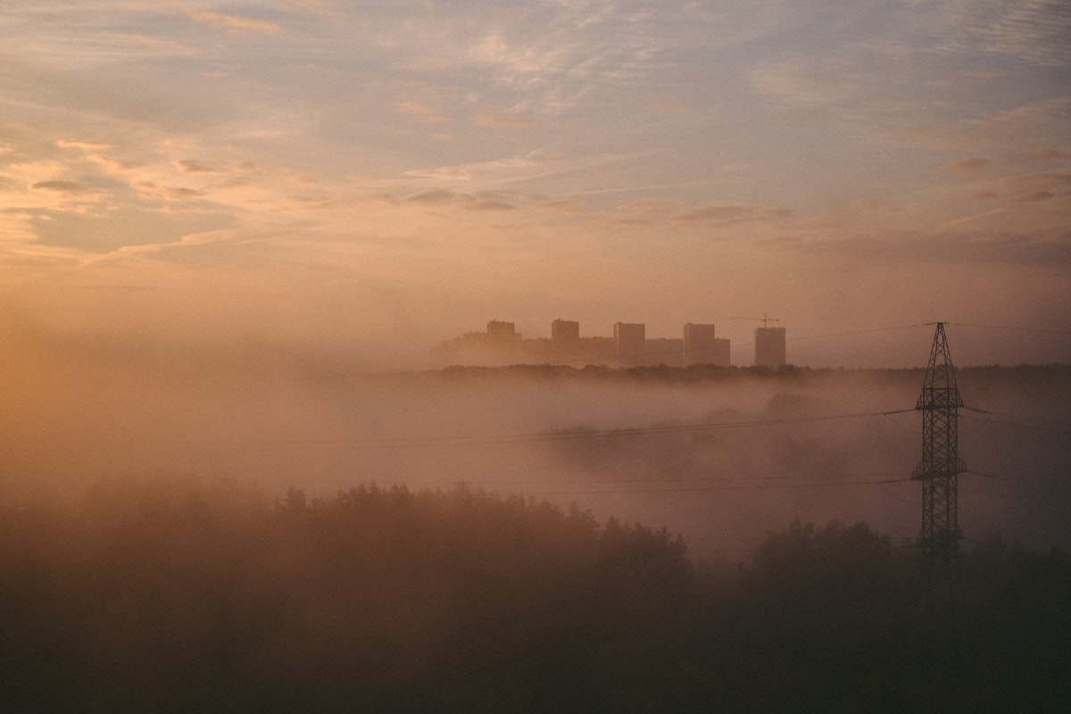 Nature française - Forêt